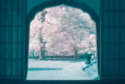 Yuuui - Infrared Photography