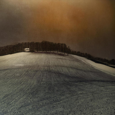 Inge Schuster - Landscape
