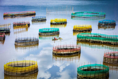 Shin Woo Ryu - Fisherman Life