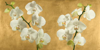 Andrea Antinori - Orchids on a Golden Background