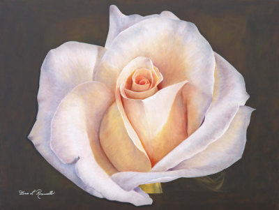 Diane Romanello - One White Rose