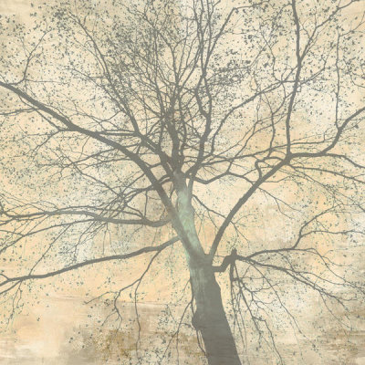 Alessio Aprile - Below My Tree II (detail)