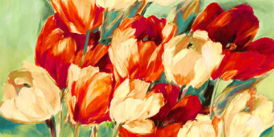 Jim Stone - Red & White Tulips