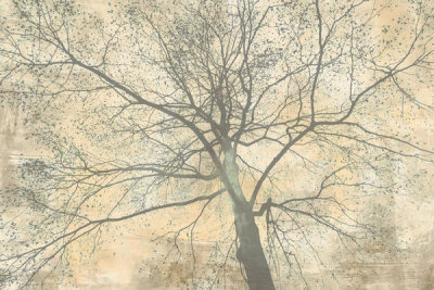 Alessio Aprile - Below My Tree II