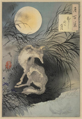 Tsukioka Yoshitoshi - Musashi Plain Moon. From the series: One Hundred Aspects of the Moon