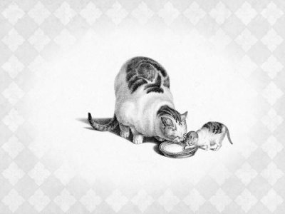Gottfried Mind - Cat and Kitten Drinking Cream