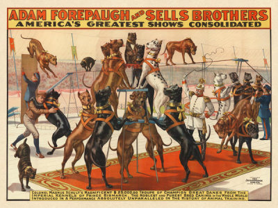 Strobridge Litho. Co. - Adam Forepaugh and Sells Brothers Circus: Colonel Magnus Schult's Great Danes, ca. 1898