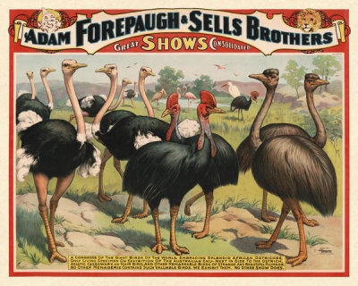 Courier Litho. Co. - Adam Forepaugh and Sells Brothers Menagerie: A Congress of the Giant Birds of the World, ca. 1898