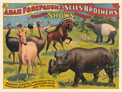 Strobridge Litho. Co. - Adam Forepaugh and Sells Brothers Menagerie: Sumatra, African and South American, ca. 1896