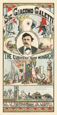 New York Popular Publishing Co. - Signore Giacomo Galetti: With his unexcelled birds, ca. 1883