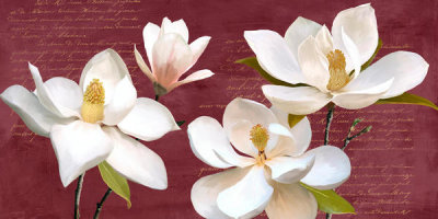Luca Villa - Burgundy Magnolia