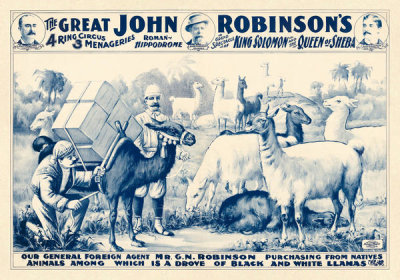 The U.S. Printing Co. - John Robinson Circus: A Drove of Black & White Llamas, ca. 1900
