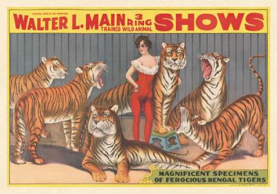 Riverside Printing Co. - Walter L. Main 3 Ring Shows: Ferocious Bengal Tigers, ca. 1900