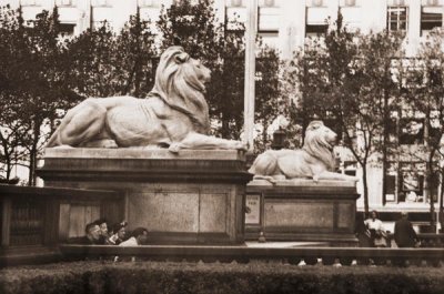 Angelo Rizzuto - Marble lion sculptures at the main branch of the New York Public Library, 1953
