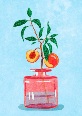 Raissa Oltmanns - Peach Tree in Vase