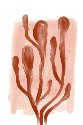 Treechild - Brown Corals