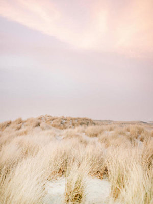 Raisa Zwart - Ameland Dunes 2