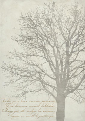 Alessio Aprile - Gautier's Tree II