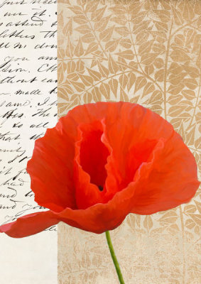 Elena Dolci - Poppy II