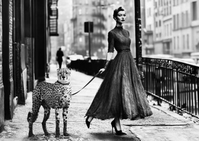 Haute Photo Collection - Walking the pet in London, 1950