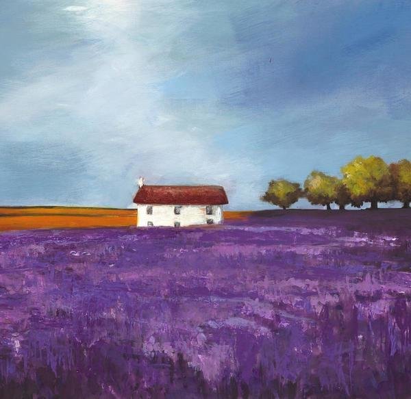 philip lavender field bloom